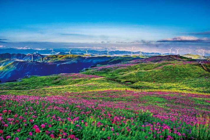深度解析 l-gz-100876企业经营范围——境内旅游业务与入境旅游业务全指南